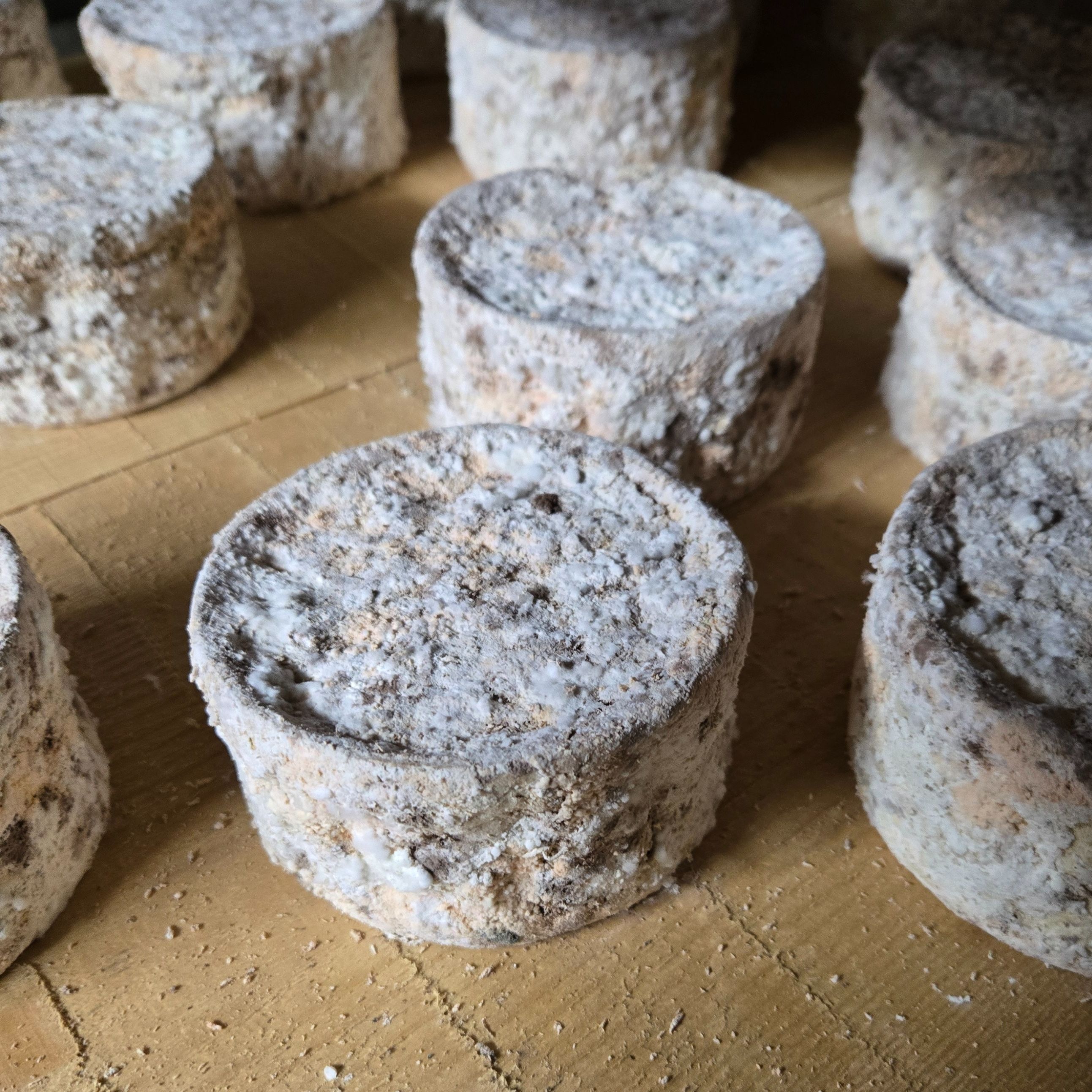 Tommette de Chèvre - 0,4kg
