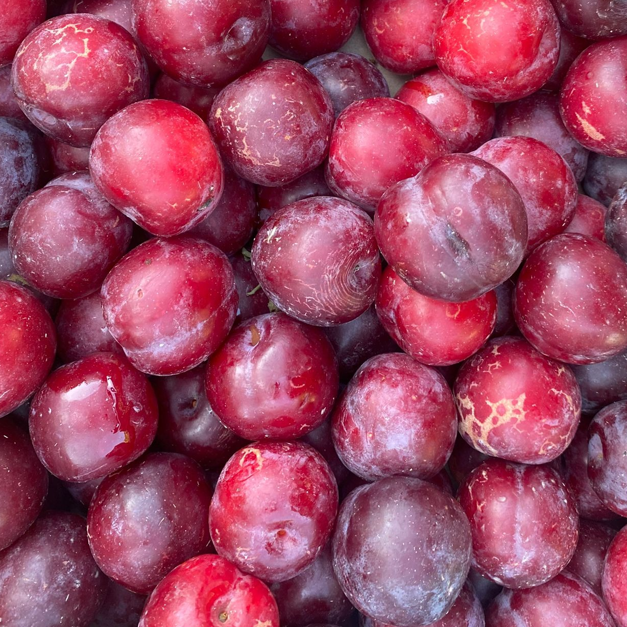 Prune rouge Obilnaya - 400g