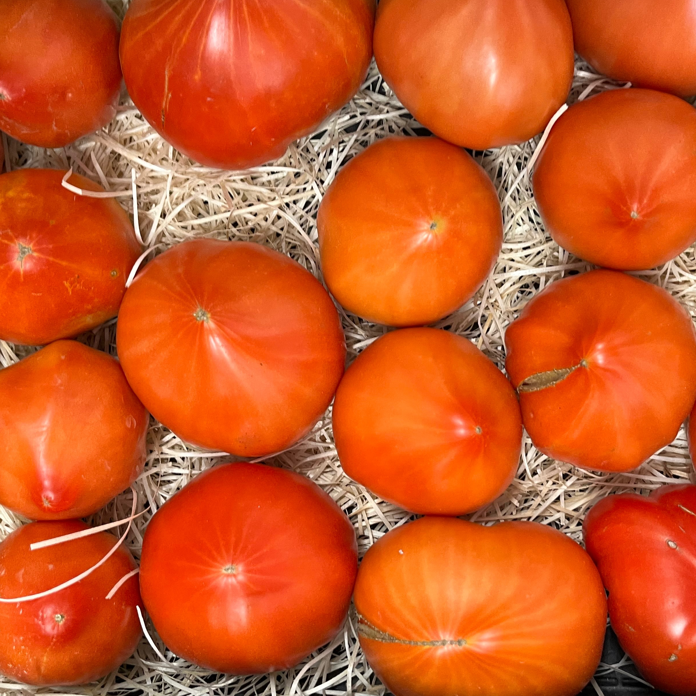 Tomates anciennes
