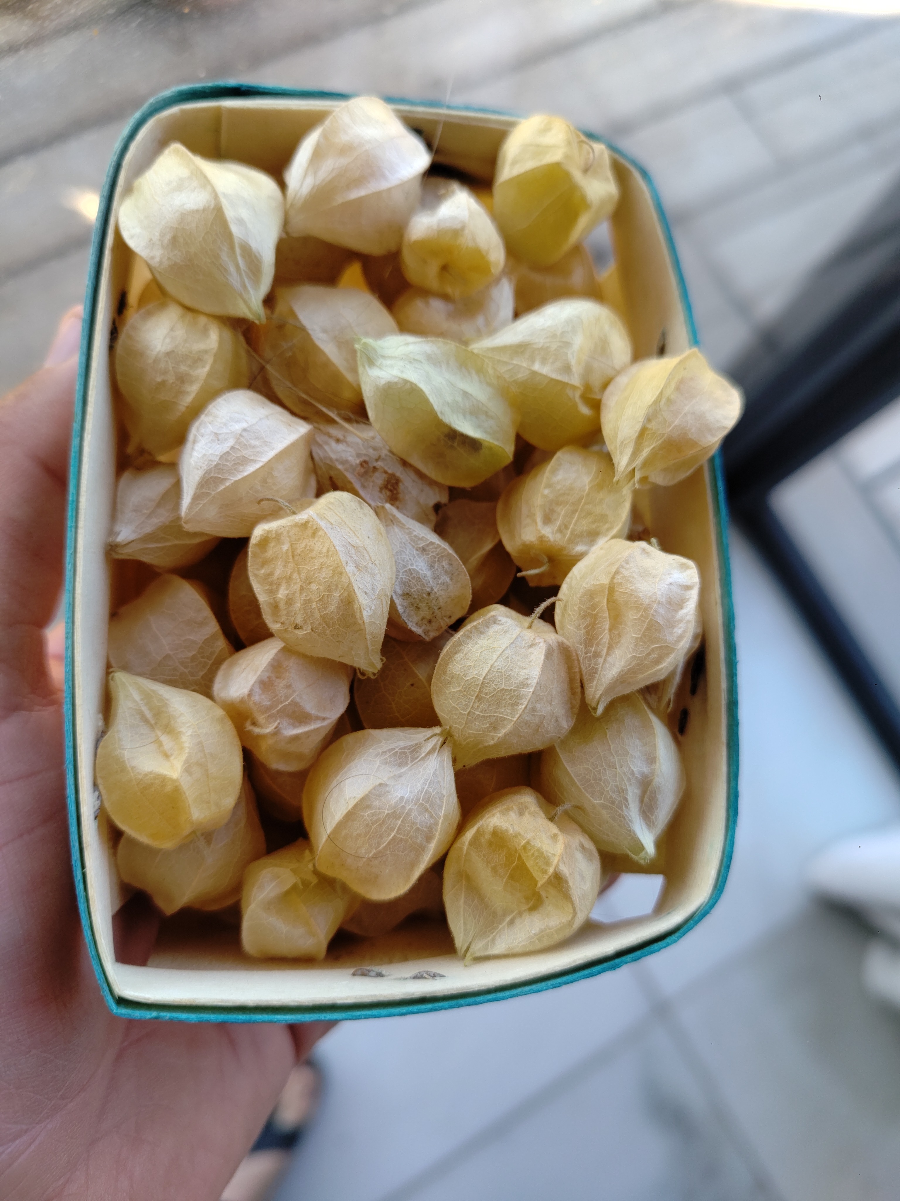 Physalis/ Amour en cage barquette