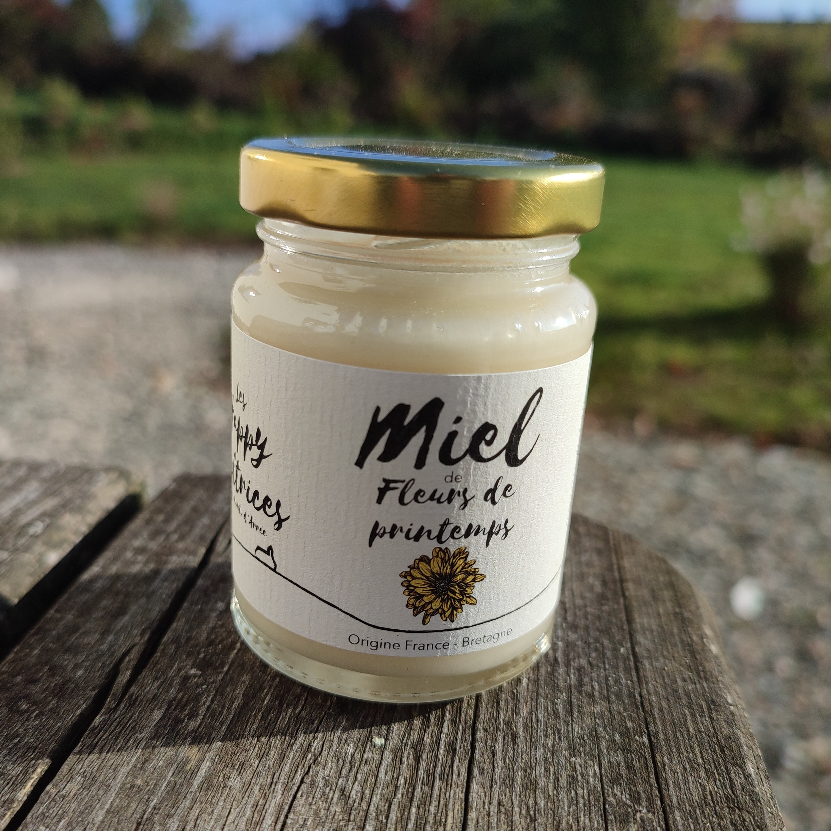 Miel de Fleurs de Printemps