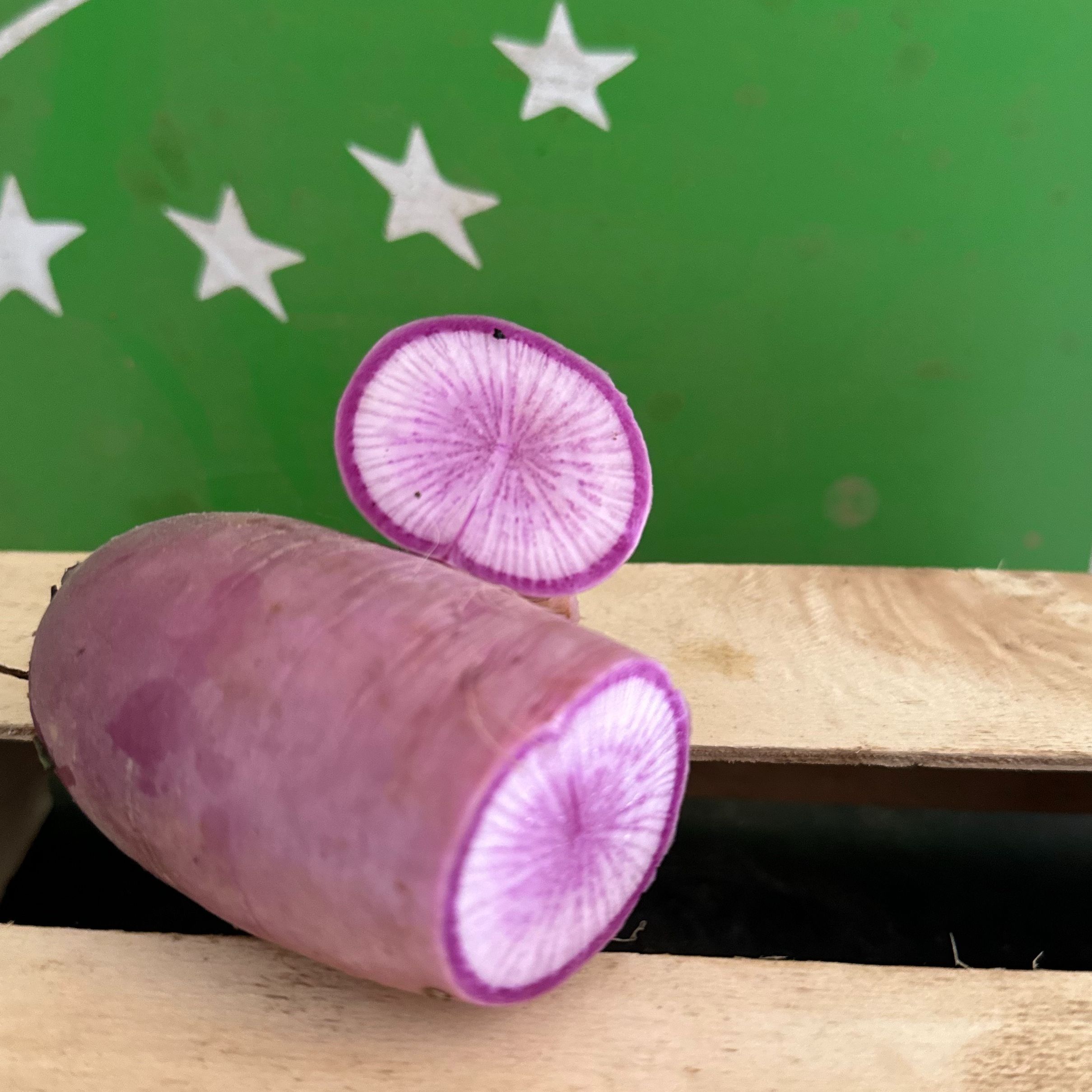 Radis violet à la pièce