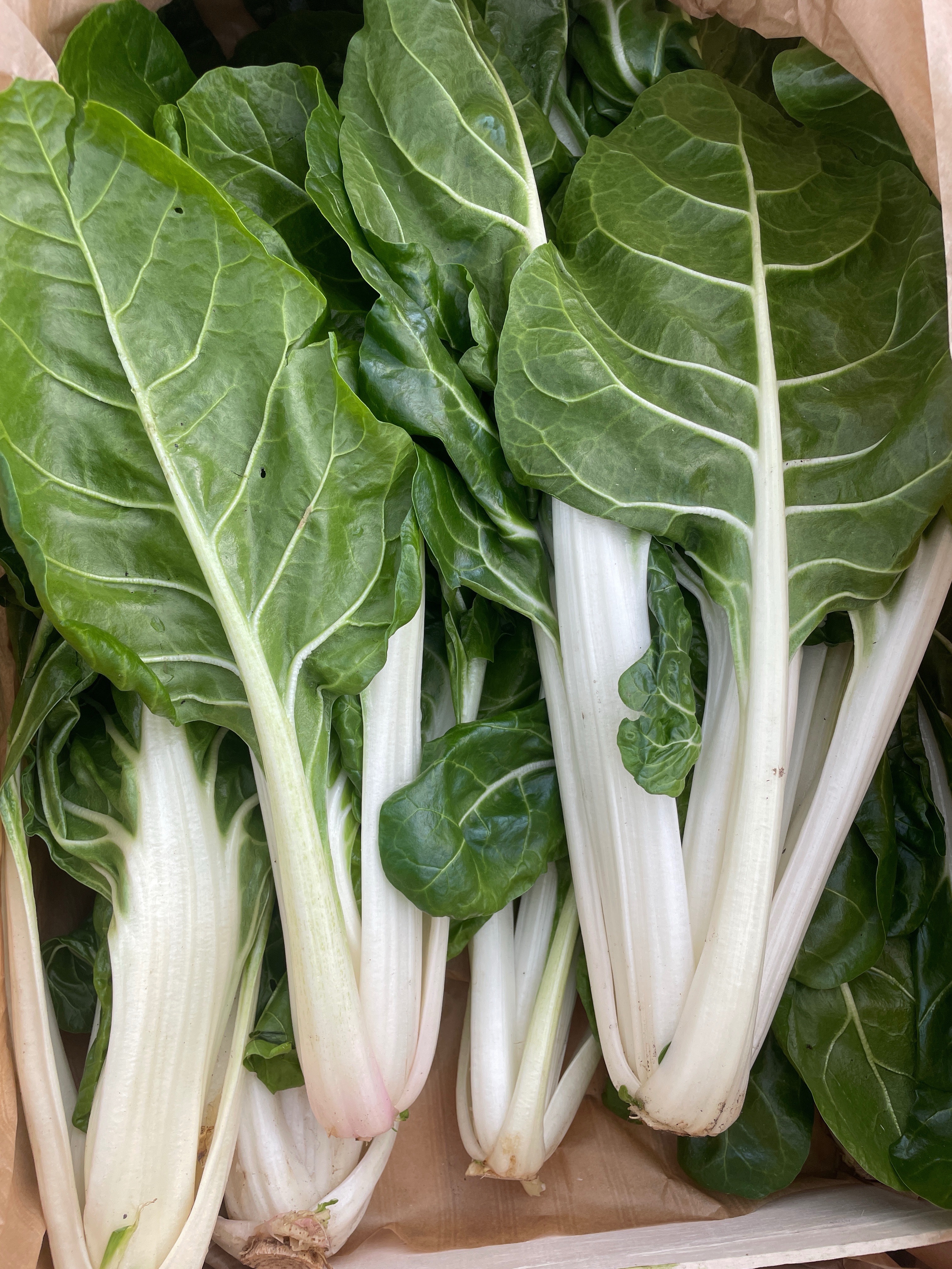Côte de blette 400 g