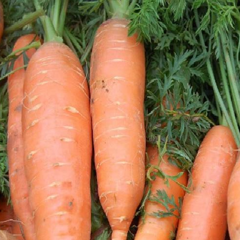 Carottes 1 kg (origine: La Cueillette 59 France)