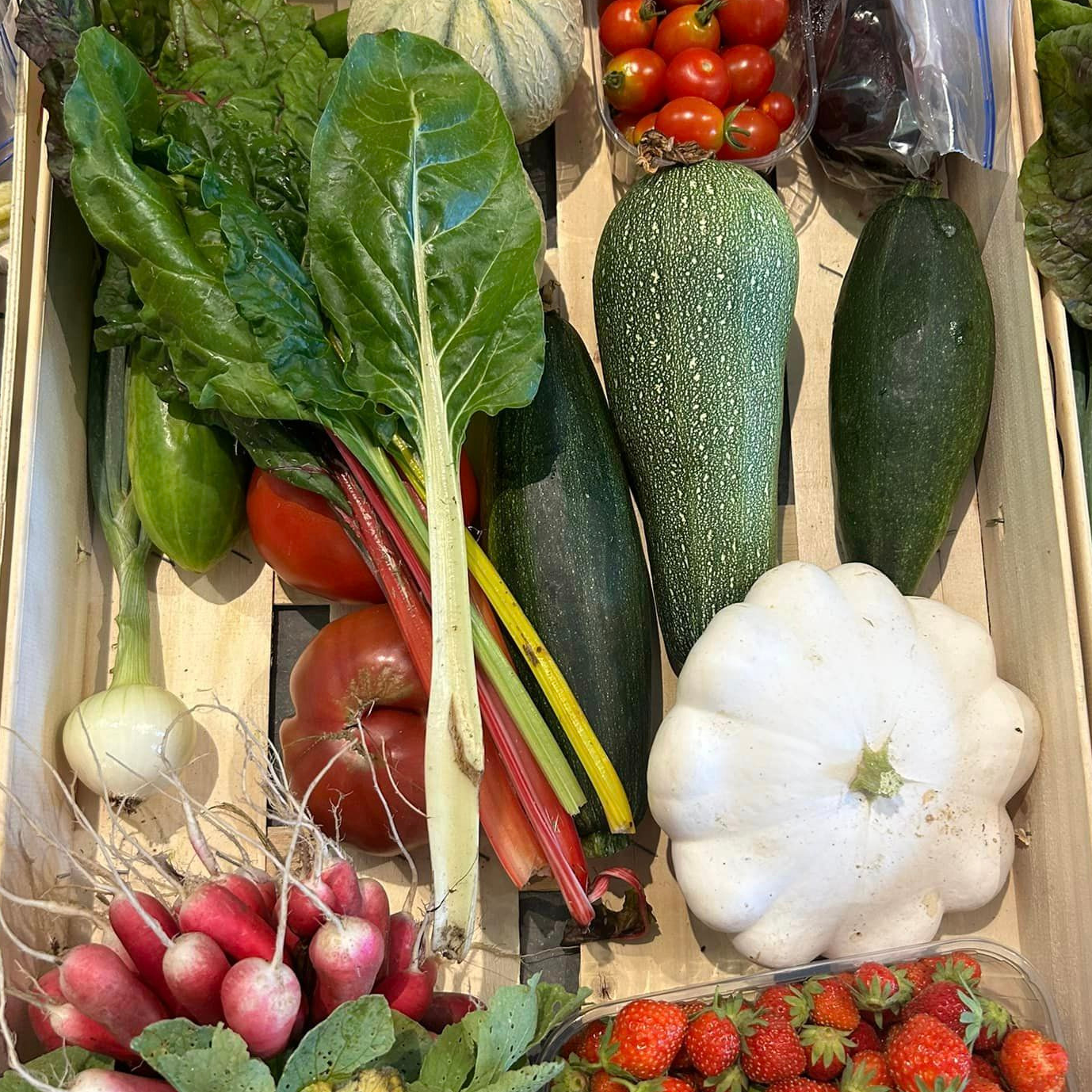 PETIT PANIER DE LEGUMES