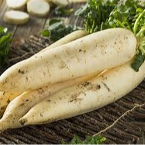 Radis d'hiver Daikon - 500g