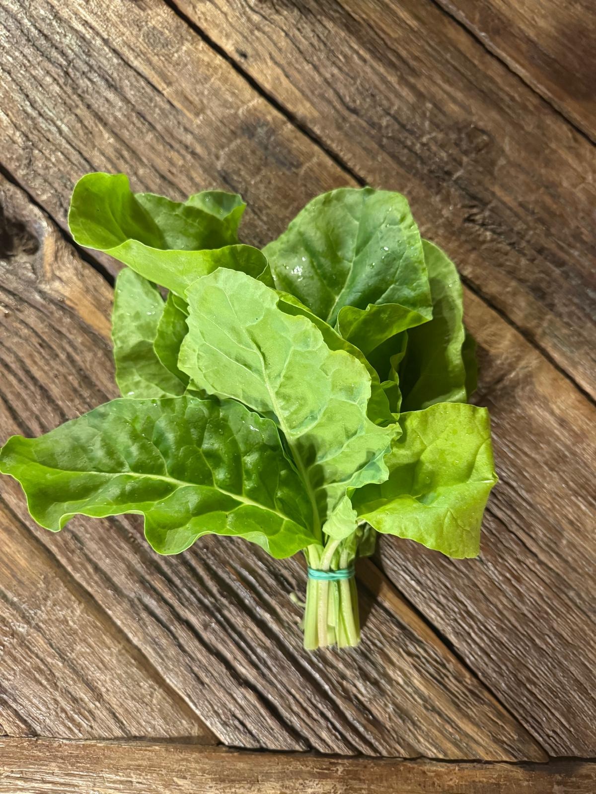 Blette Verte Mini