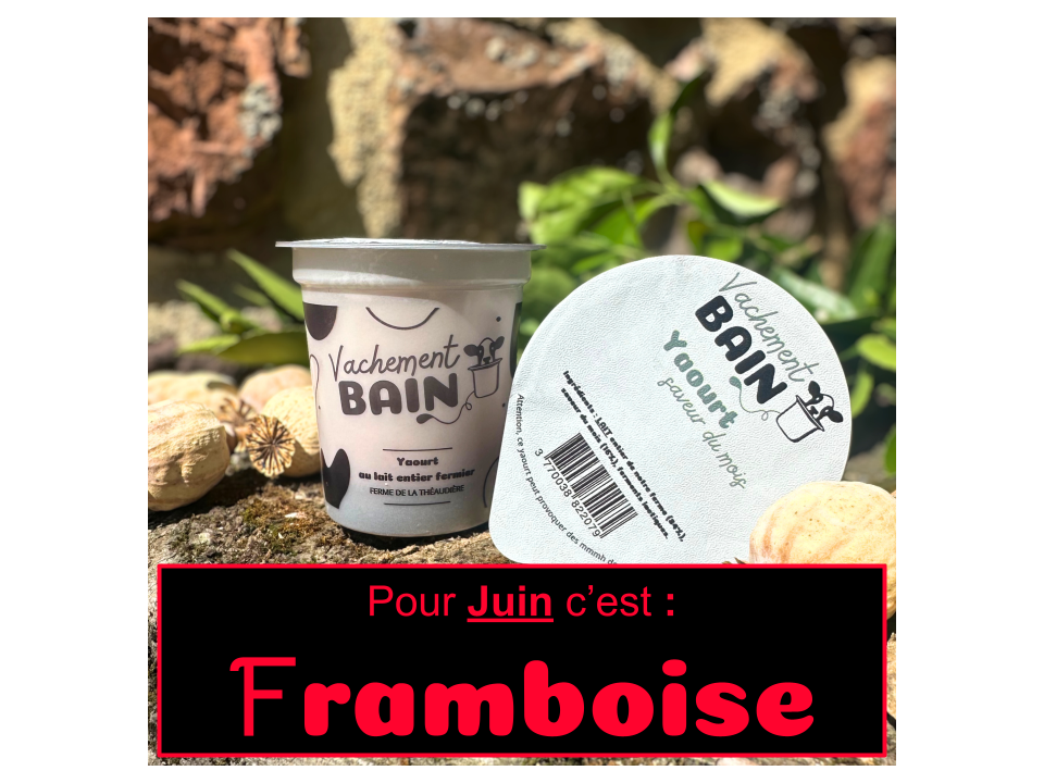 Yaourt à la saveur du mois - 125g
