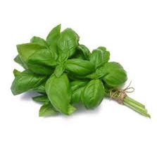 Bouquet - basilic vert - 80g