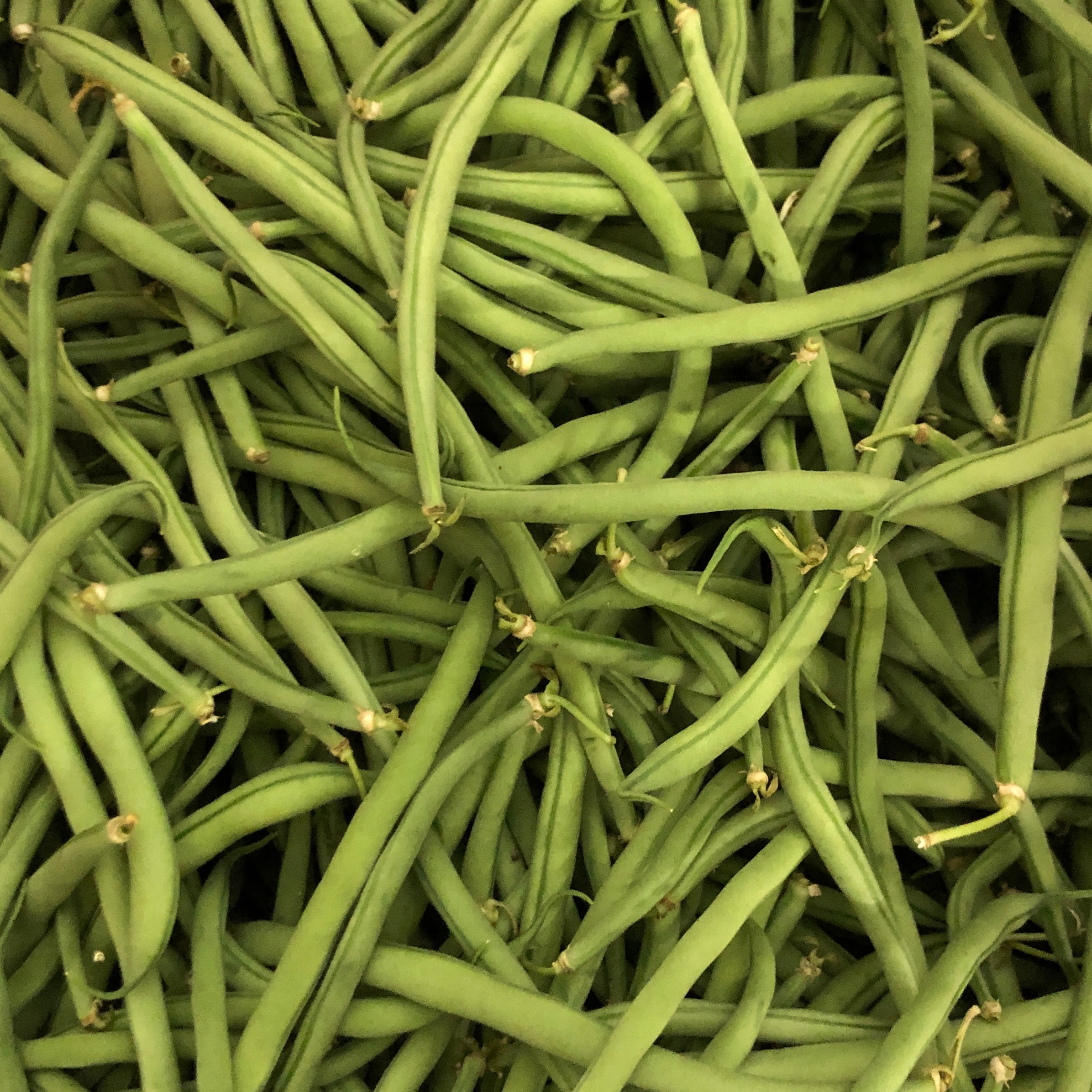 Haricot vert (sachet de 400gr)