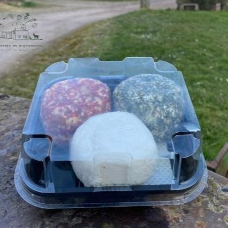 trio crottin de chèvre ( ail et herbes, nature, brushetta)