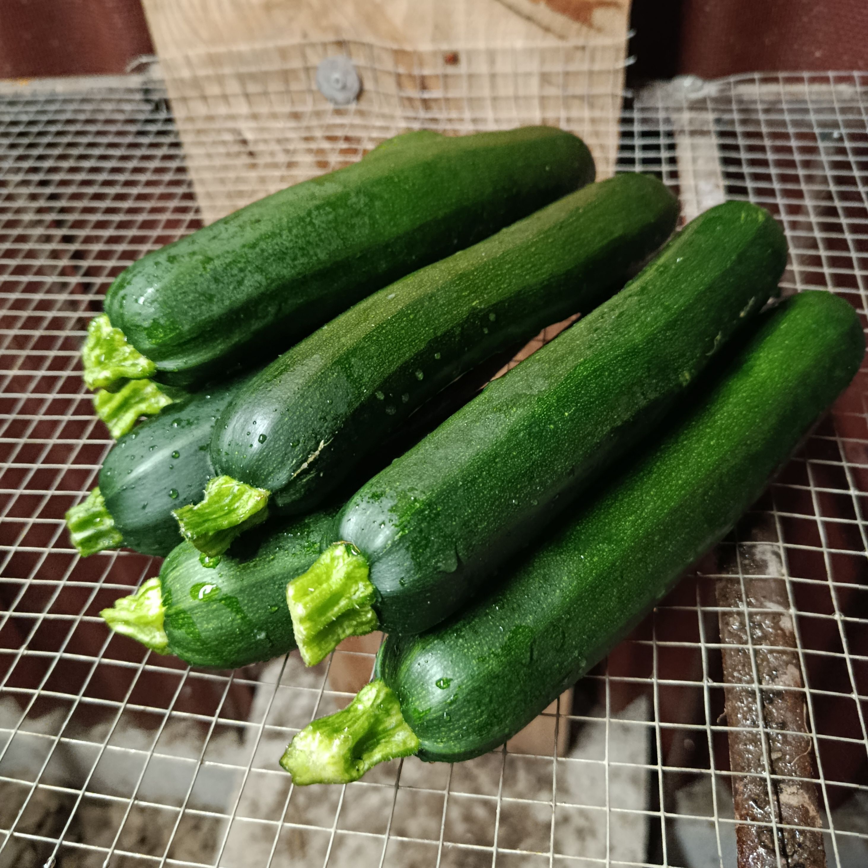 Courgette