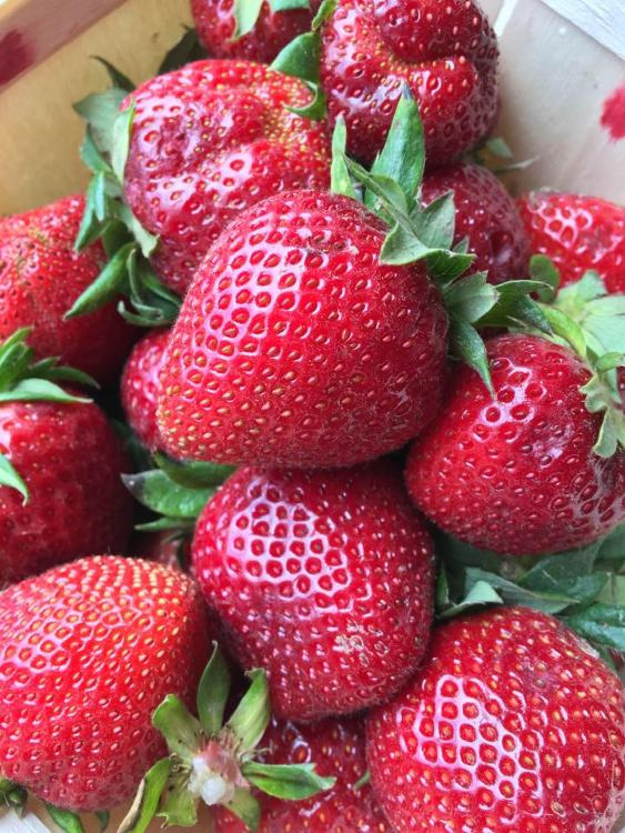 Fraises B - 0,25kg