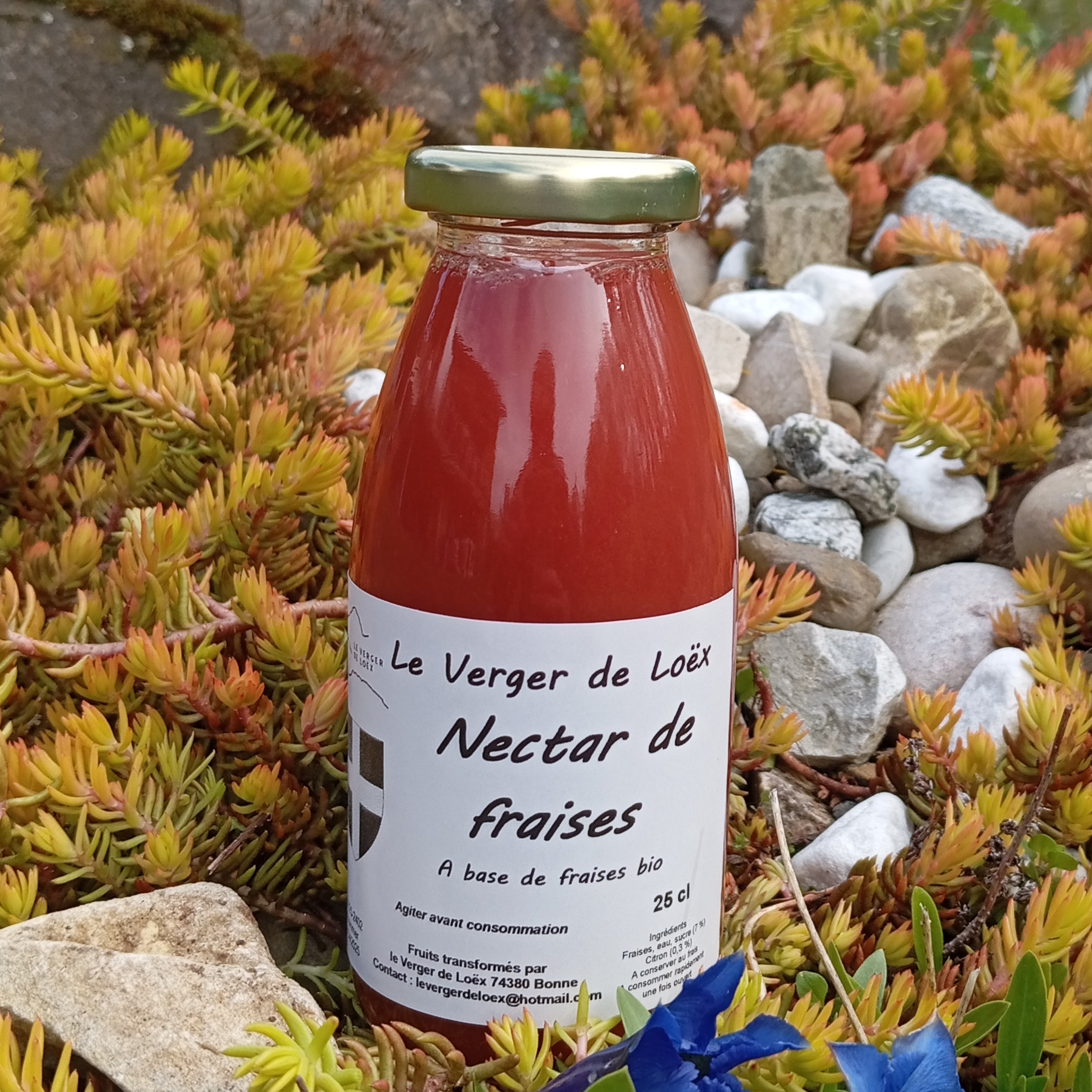 Nectar de fraises BIO du verger - 0,25L - 250ml
