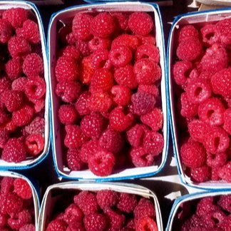 Framboises - 1 barquette de 125g
