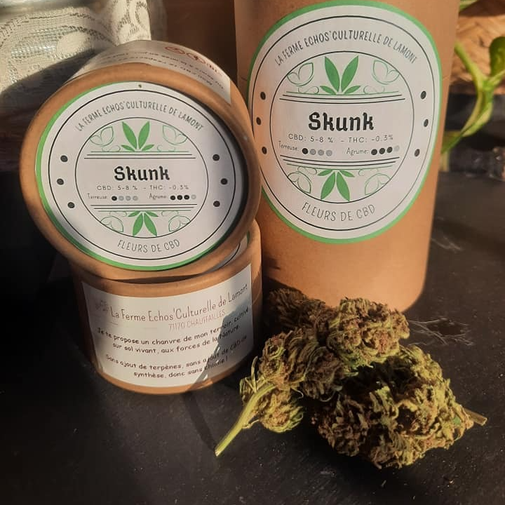 Fleurs de CBD SKUNK