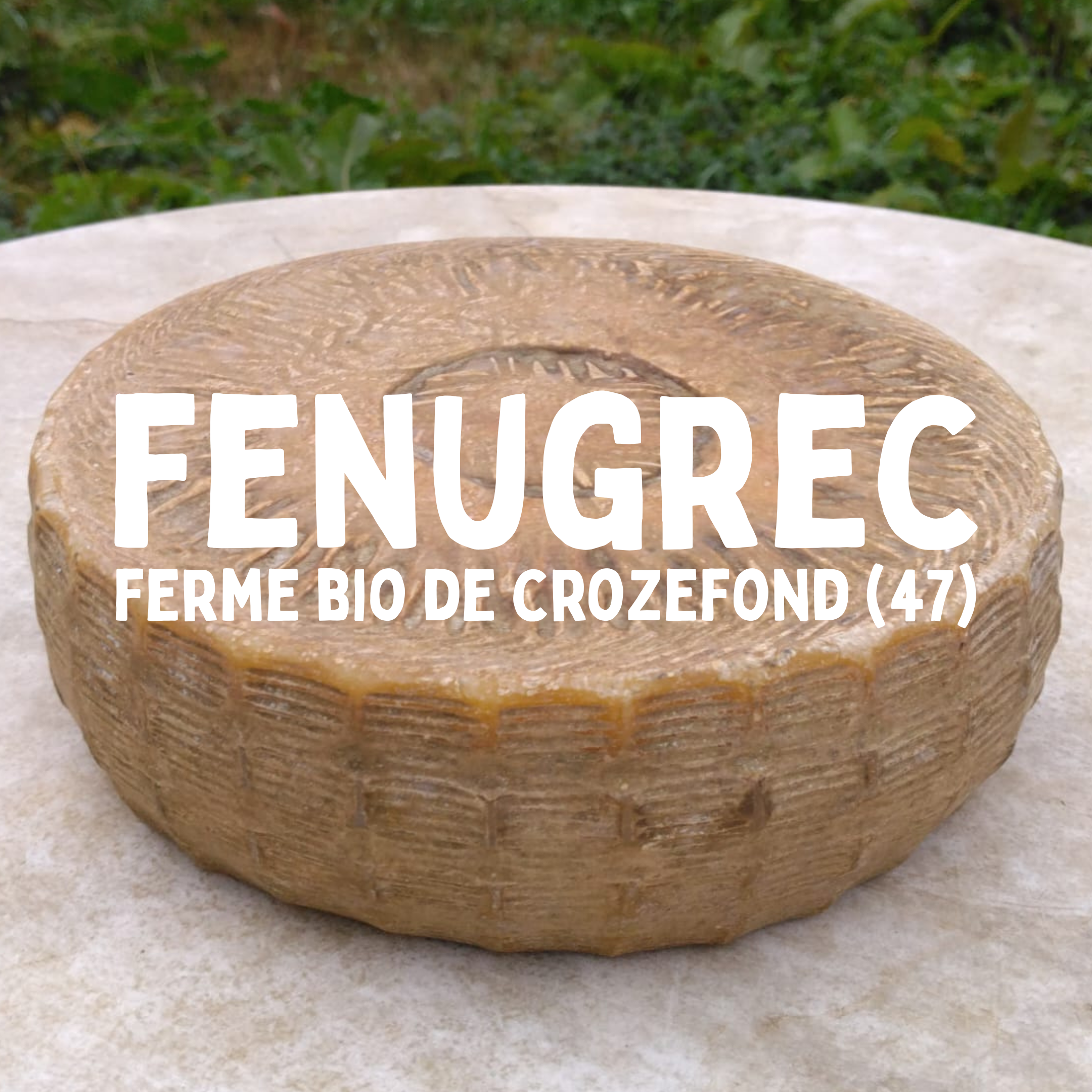 Tome au lait entier Fenugrec - 200g