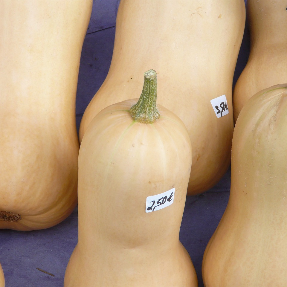 Courge butternut (pièce) - 1kg