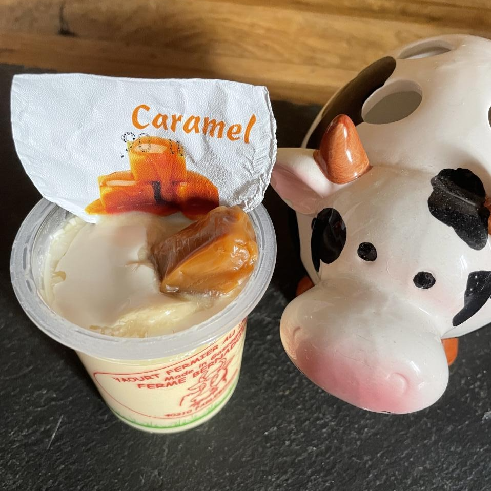 YAOURT AROMATISE CARAMEL - 12cl