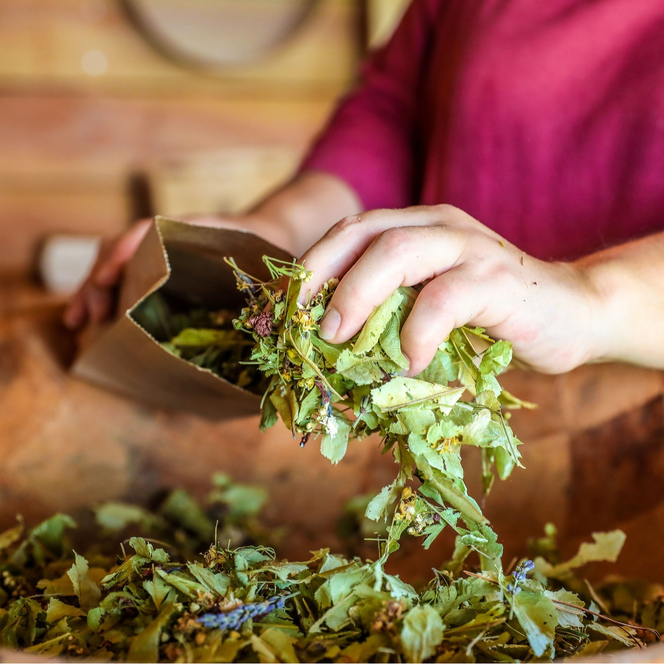 Atelier botanique avec confection de tisane - 1h30 (min 5 pers)