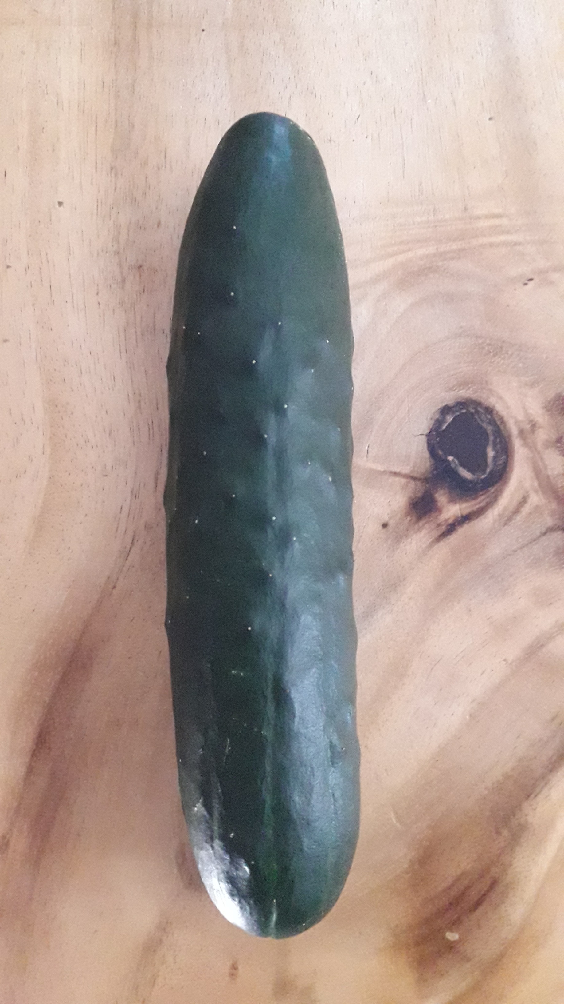 Concombre épineux