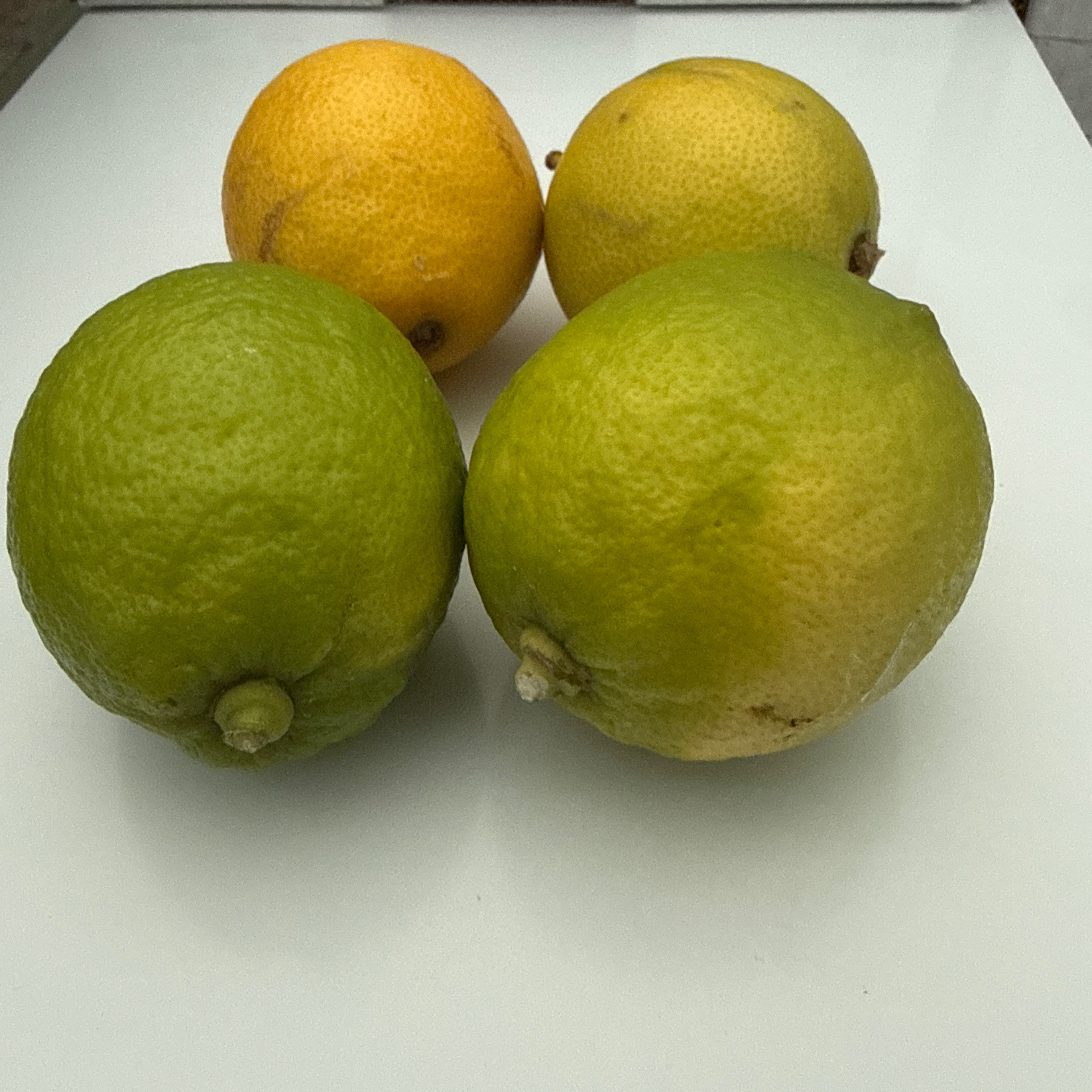 Citron vert lot de 4