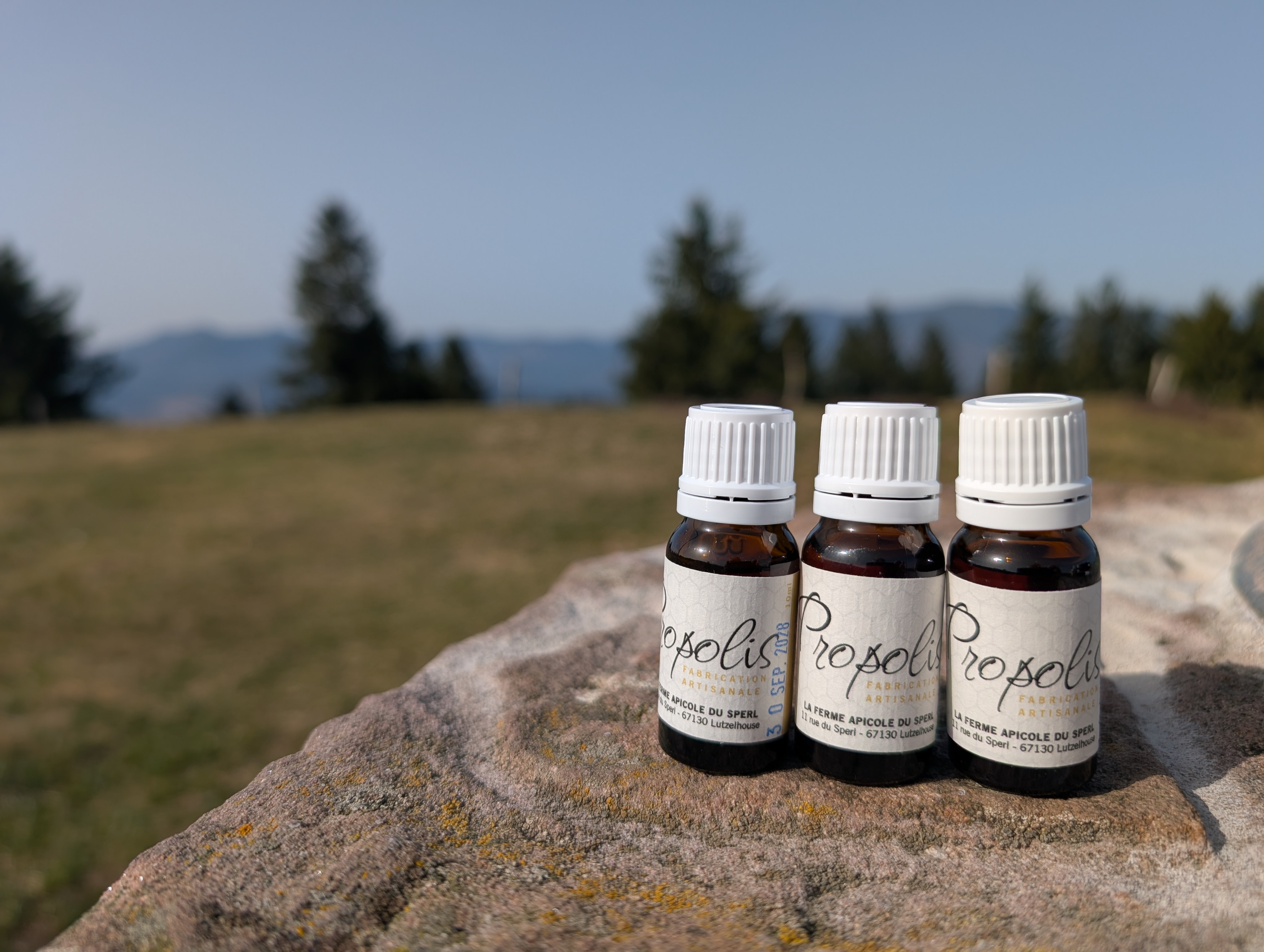 Propolis - 10ml
