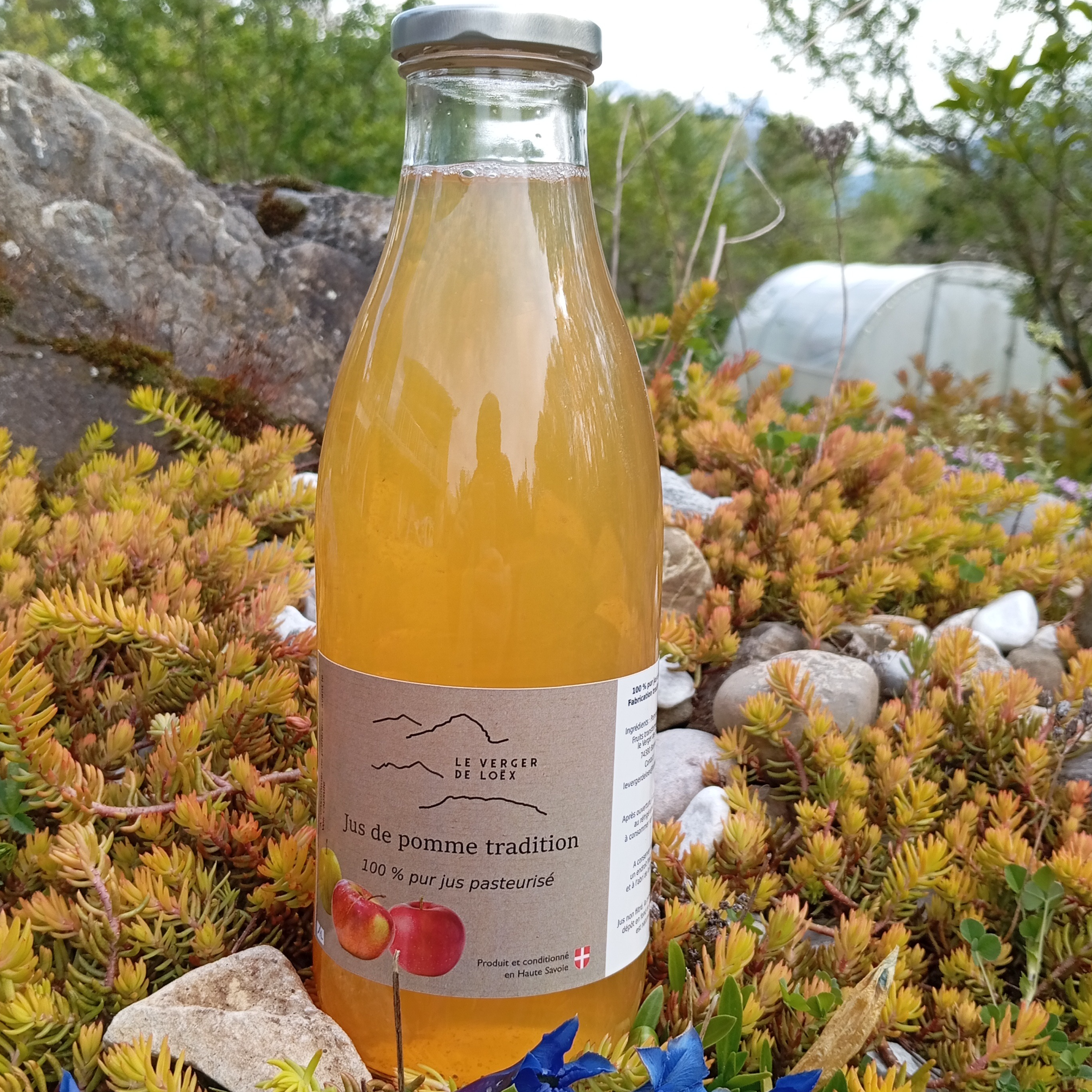 Jus de pomme BIO - 1L - 1l