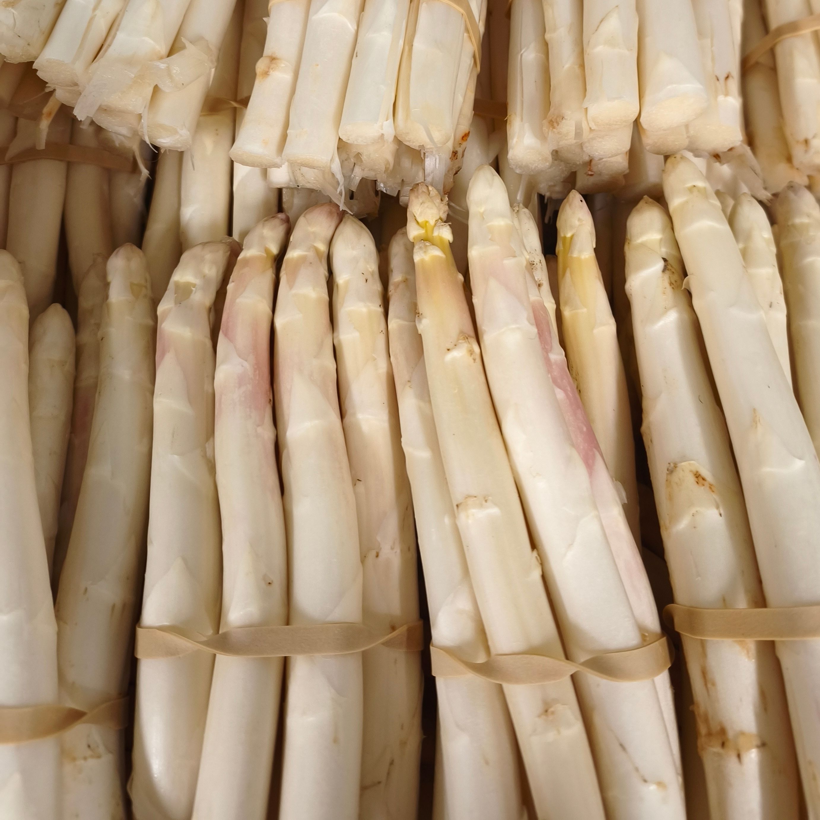 Asperges blanches - 500g