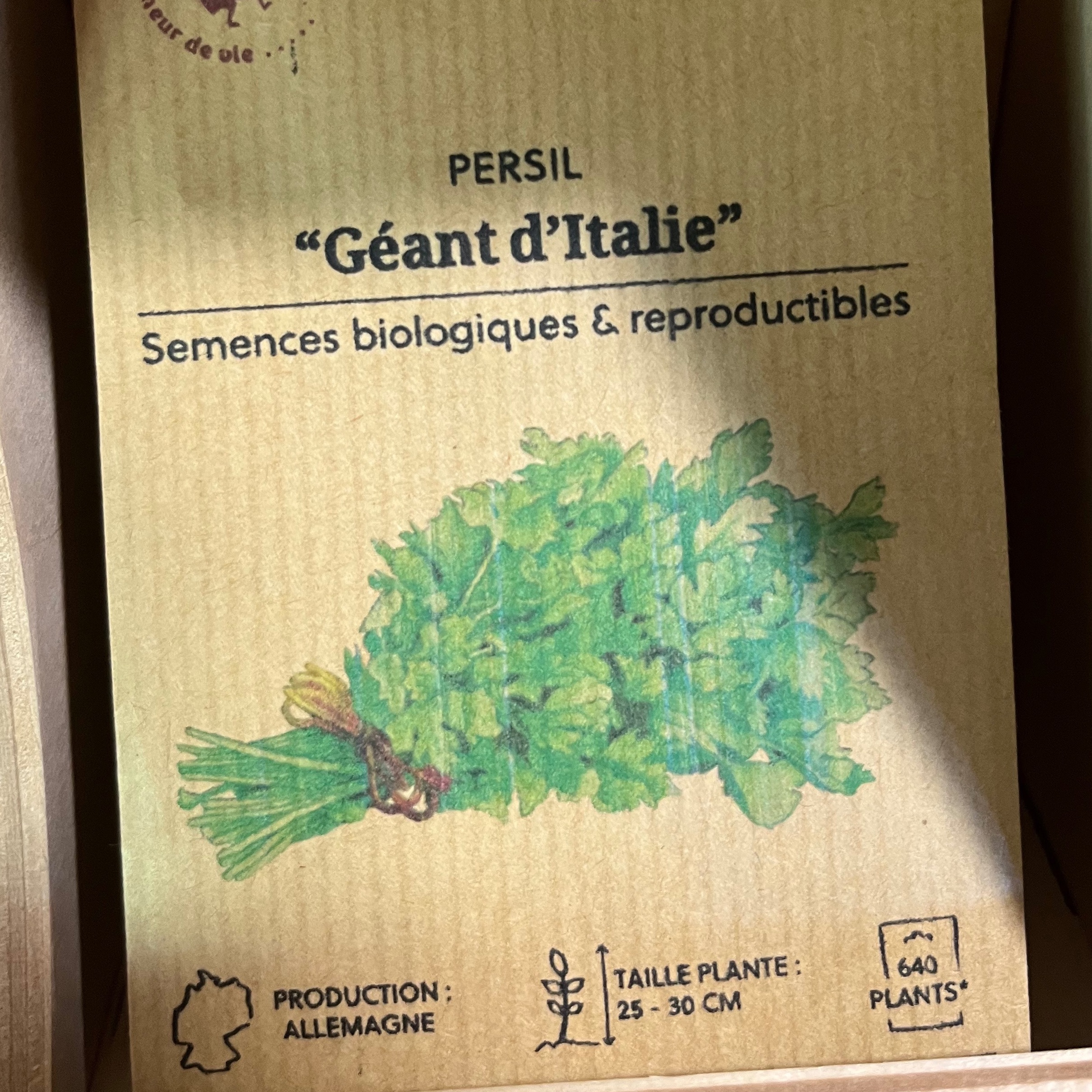 Persil "Géant d'Italie"