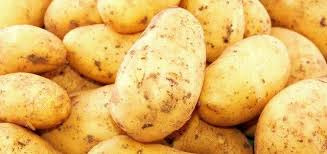 Pomme de terre nouvelle Margod B - 1kg