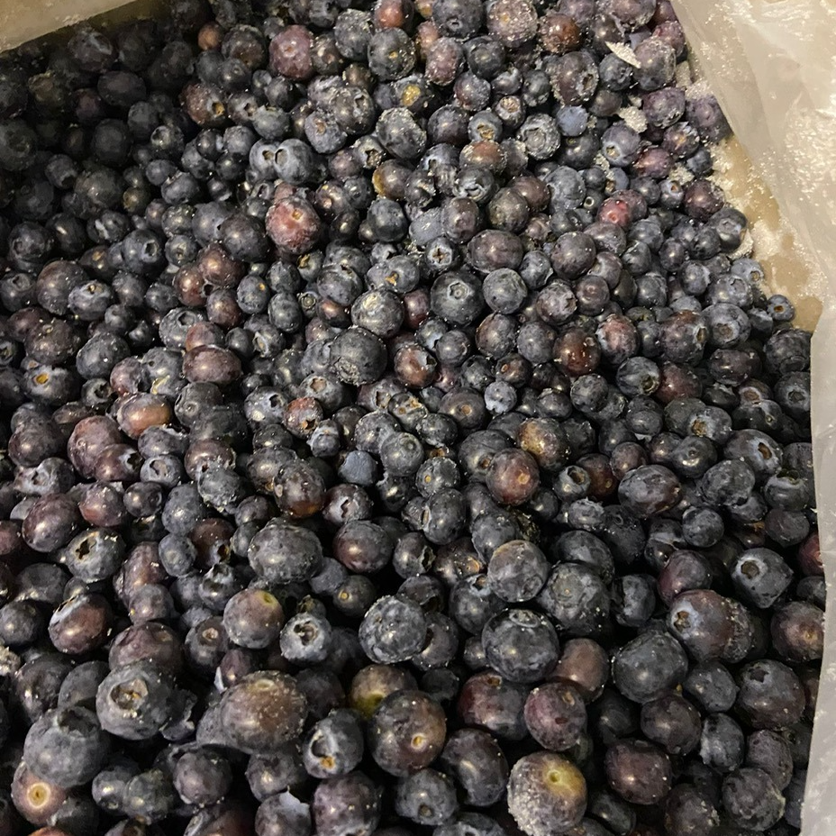 Myrtilles cultivées CONGELEES - Carton 10 Kg - 10kg