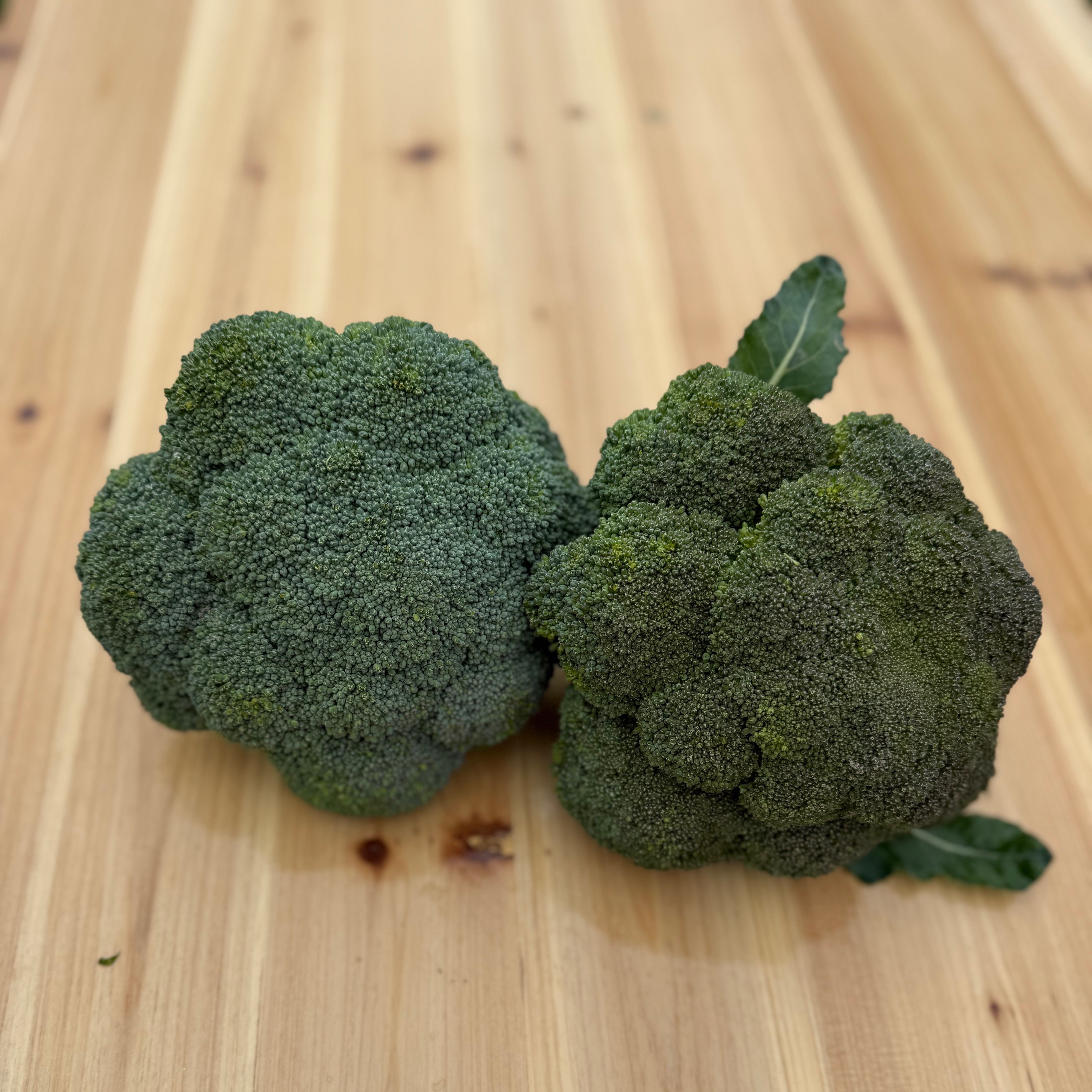 Chou Brocoli