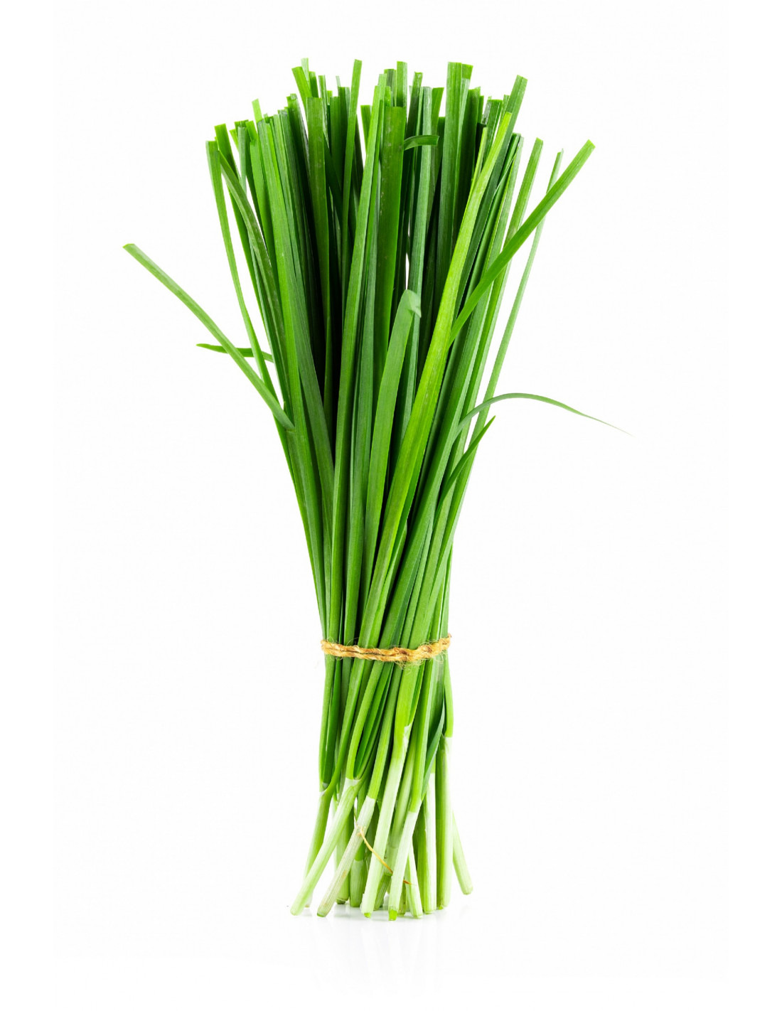 ciboulette - 100g