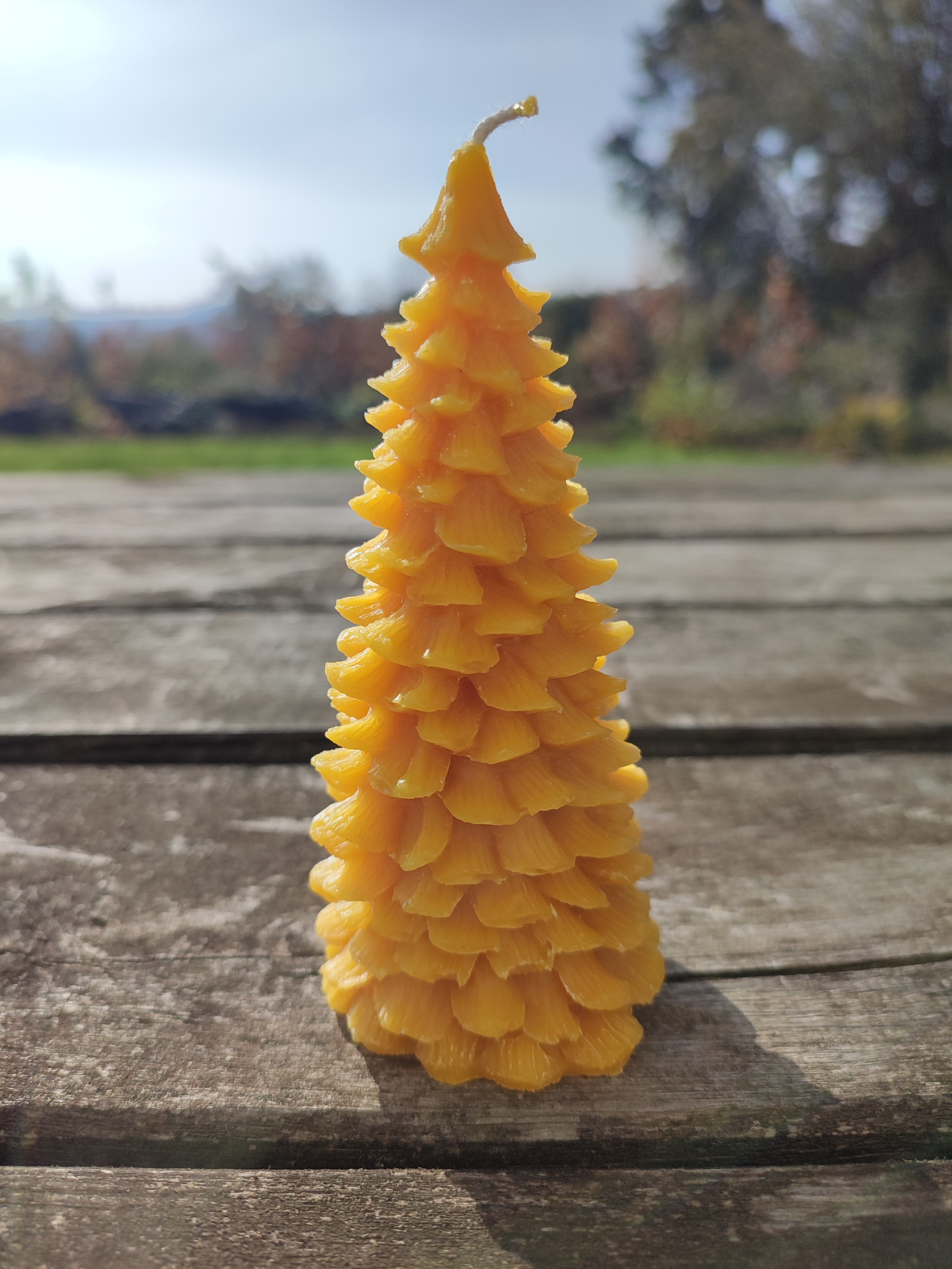 Sapin