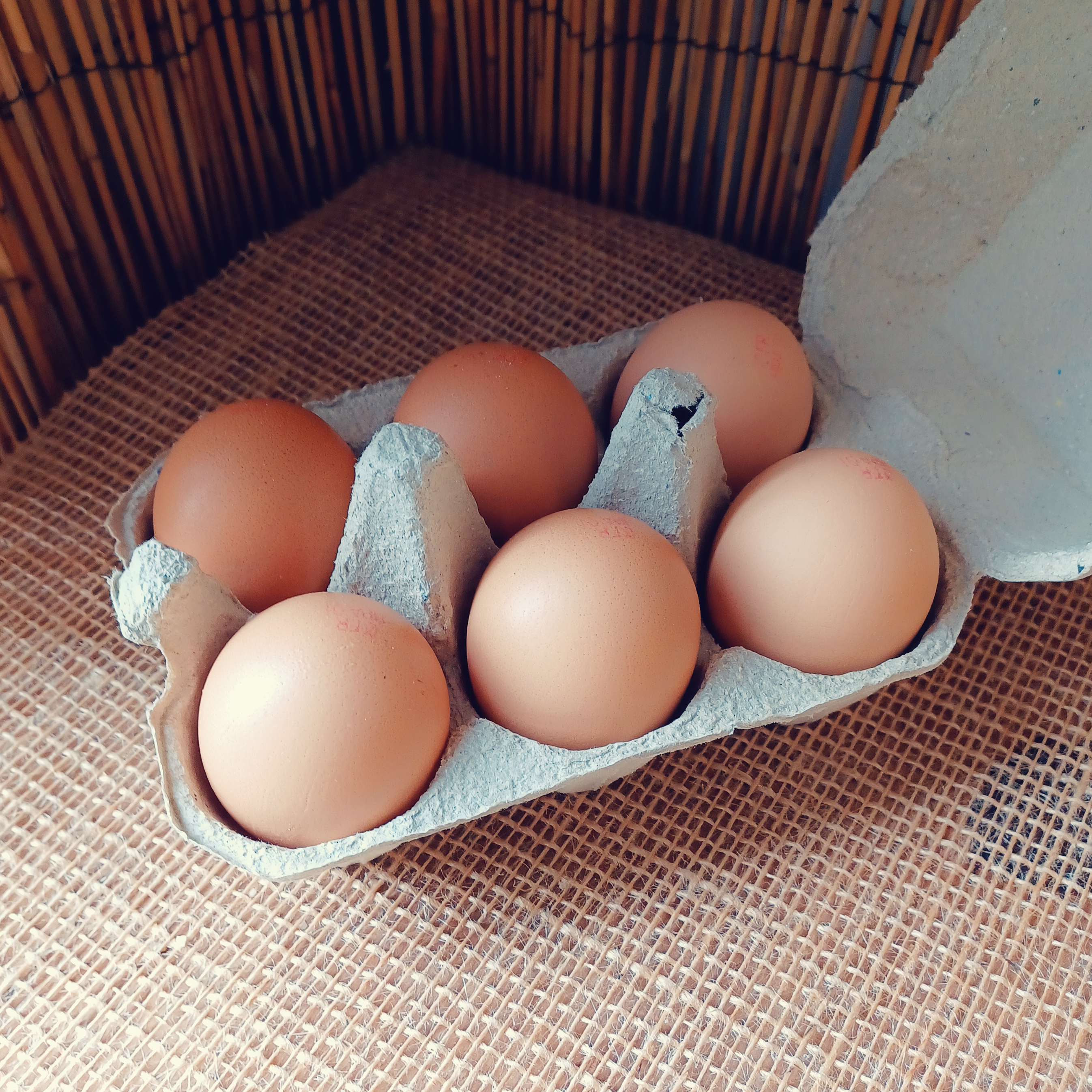 Oeufs X6 Calibre Moyen/Gros