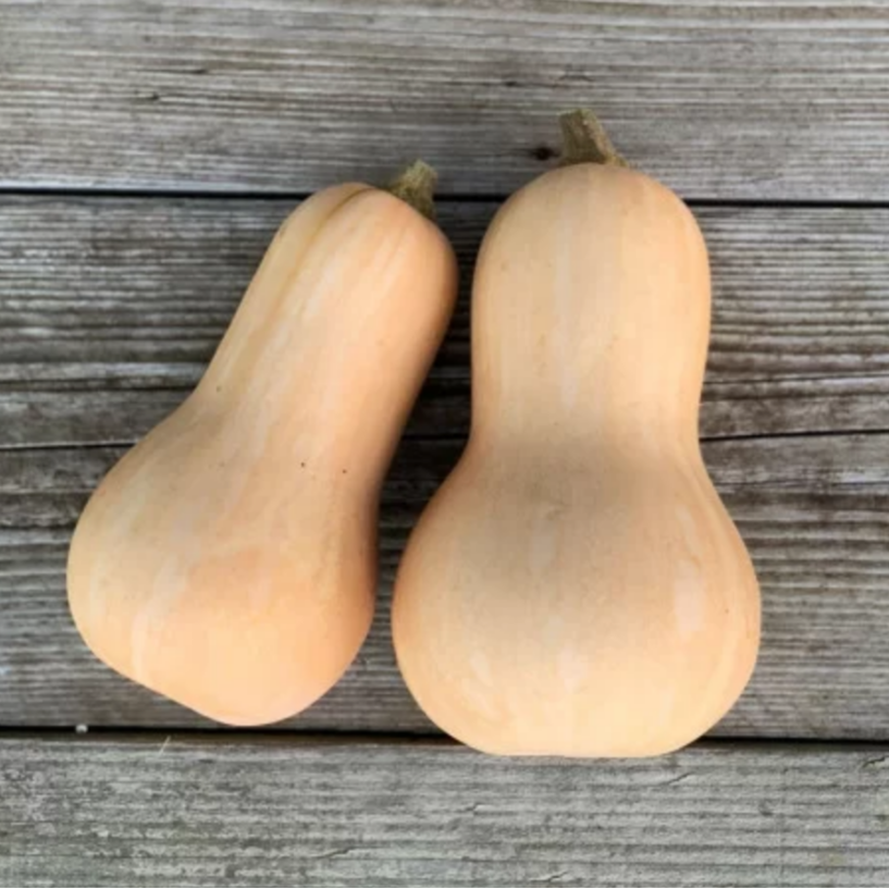 Courge Butternut