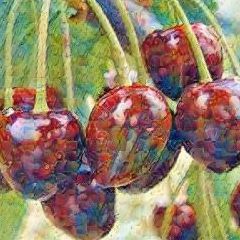 Coeur de Pigeon Rouge