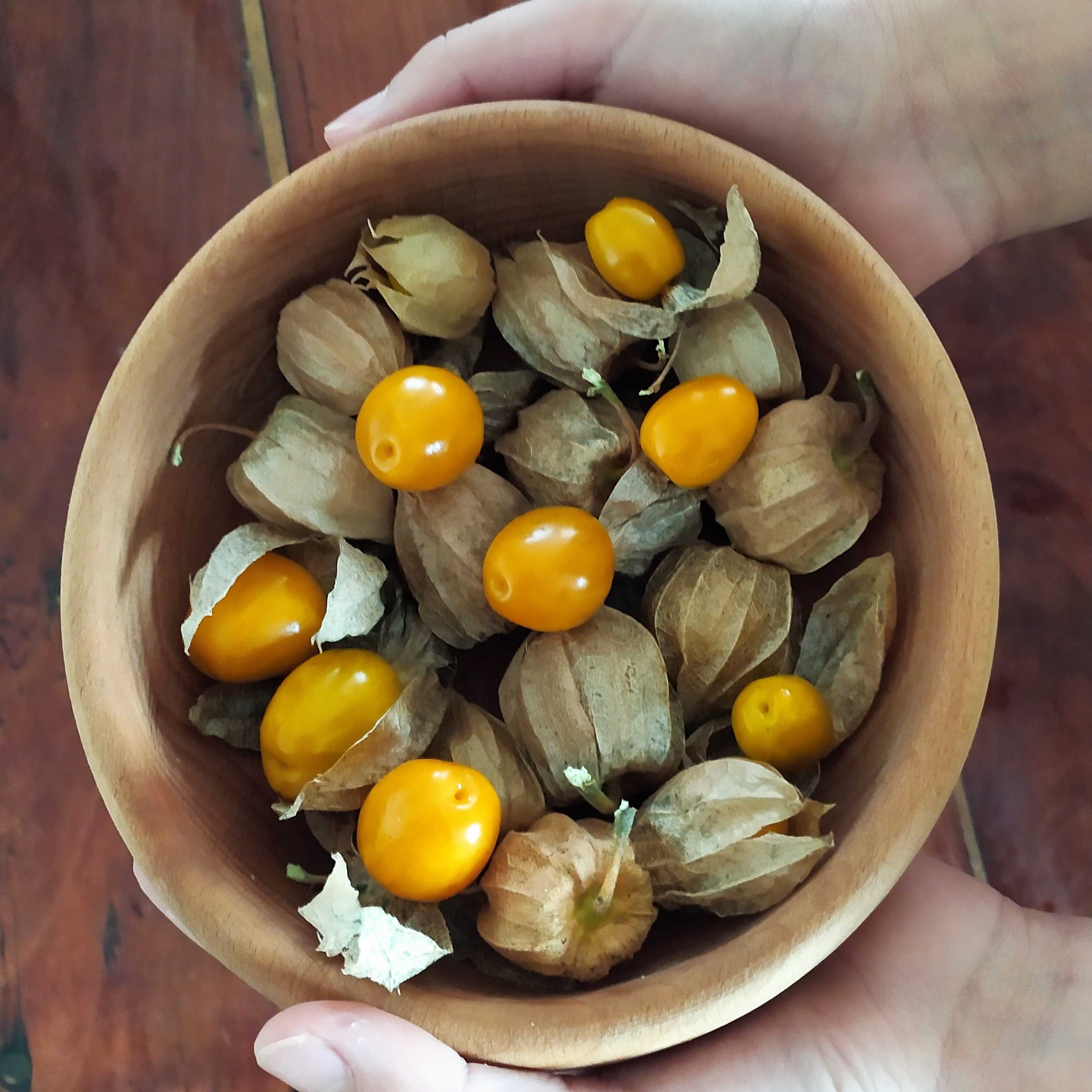 Physalis Coqueret du Pérou - 100g