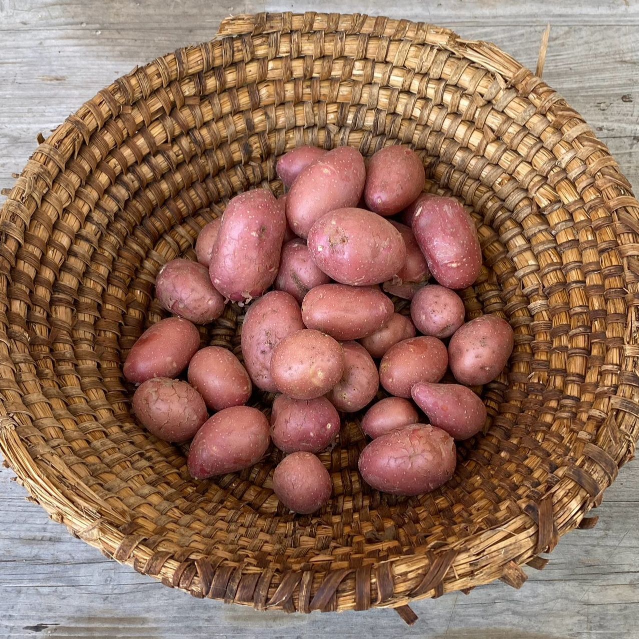 Sac de 2,5 Kg Pommes de Terre Bio Variété Valéry Cal 20/30