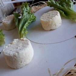Fromage sec - 50g