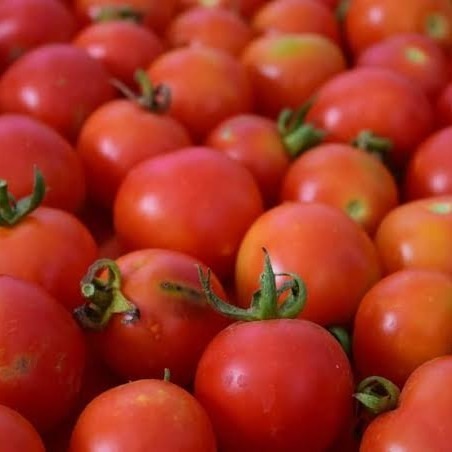 Tomate cerise rouge - 250g