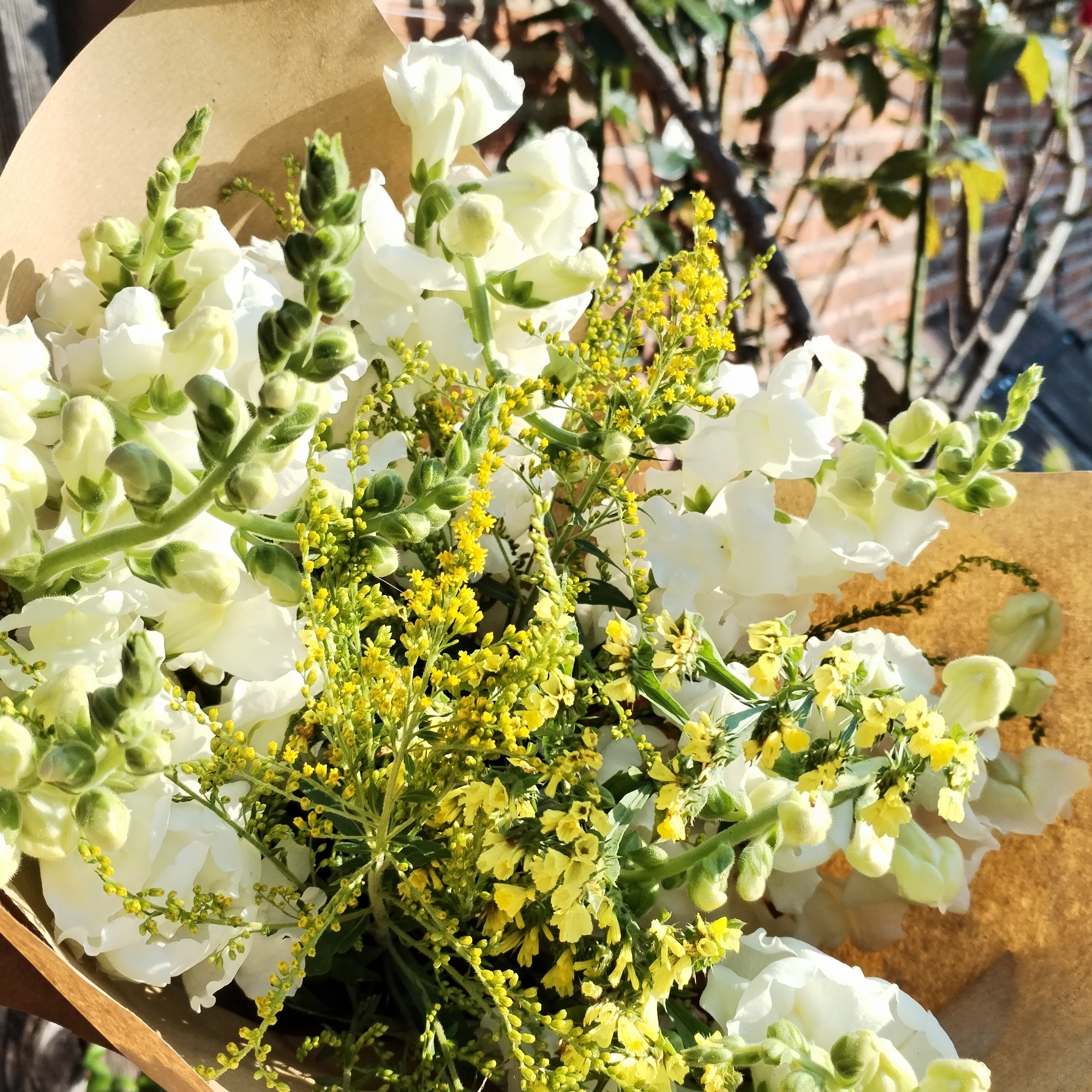 Bouquet Taille L - "Jovanot" - 22 cm env.