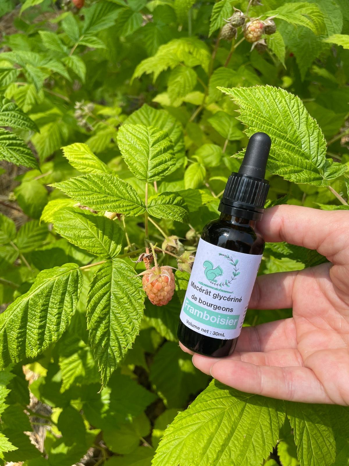 Gemmothérapie Framboisier - 30ml