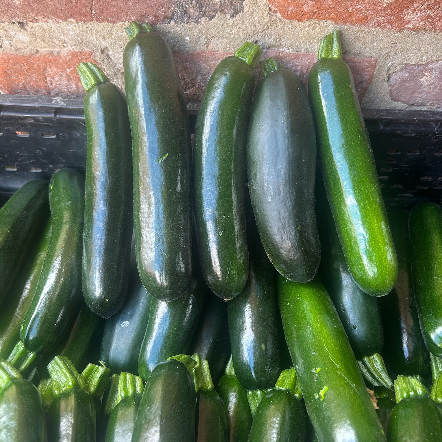Courgette