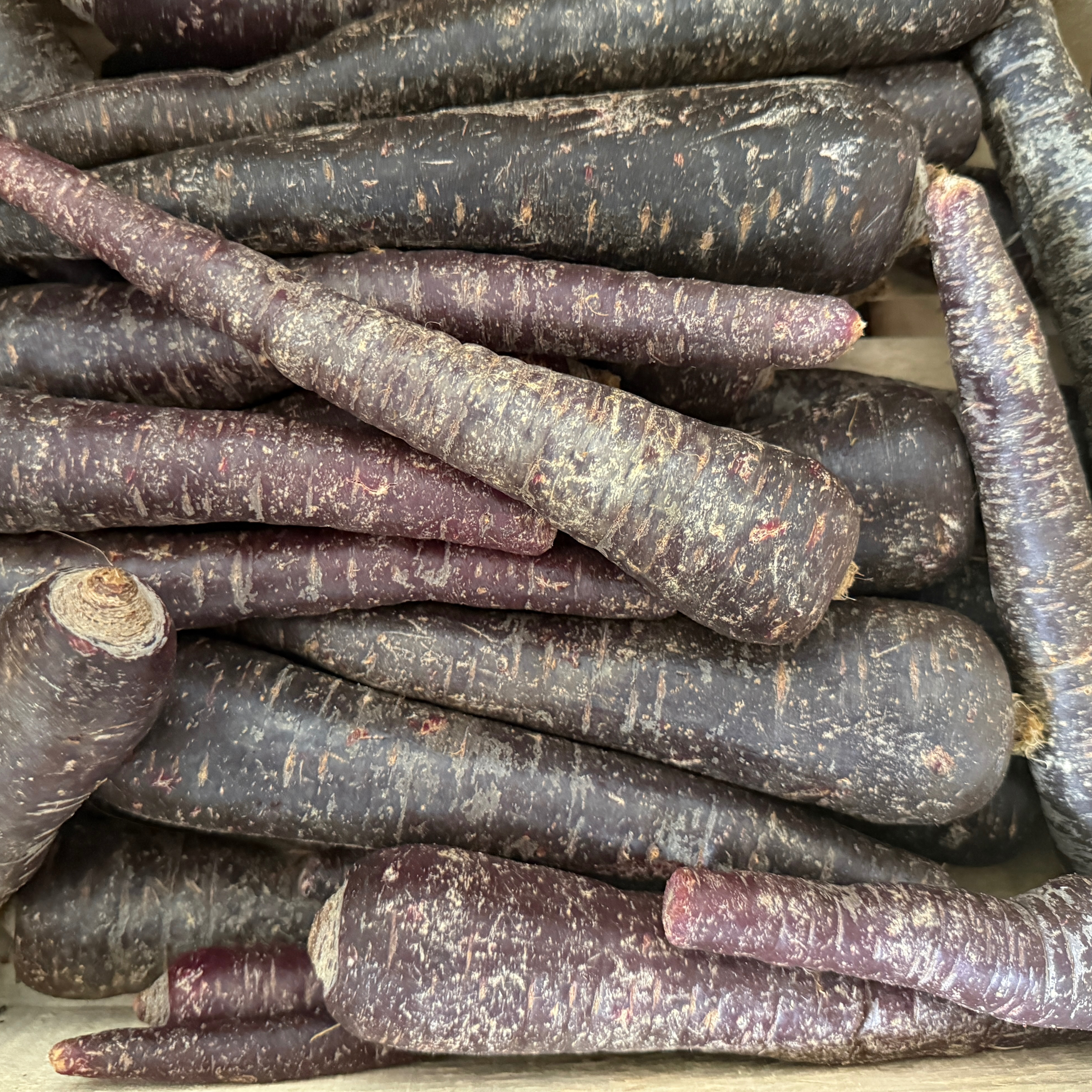 Carotte noire - 500g