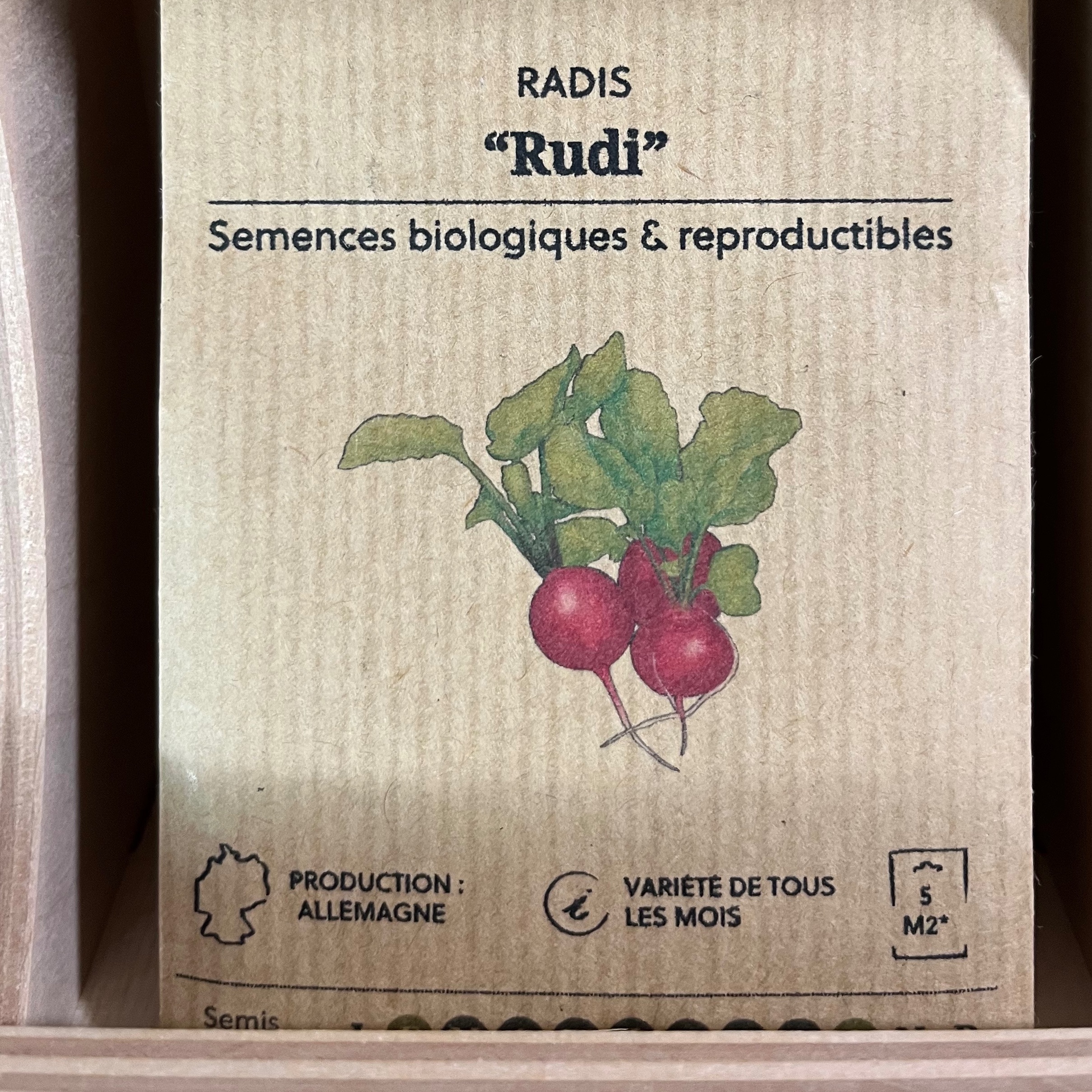 Radis "Rudi"