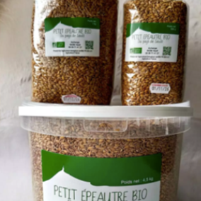 Petit épeautre - 500g