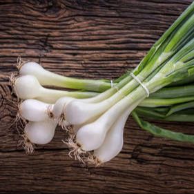 Oignons frais (la botte)