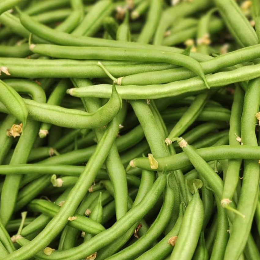 Haricot vert (poche) - 500g